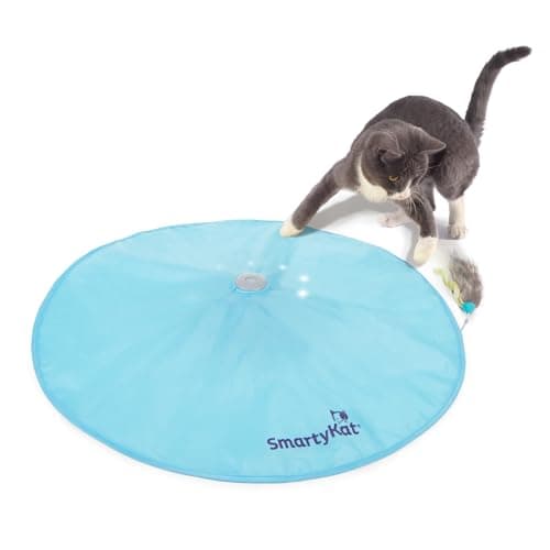 SmartyKat Hot Pursuit
