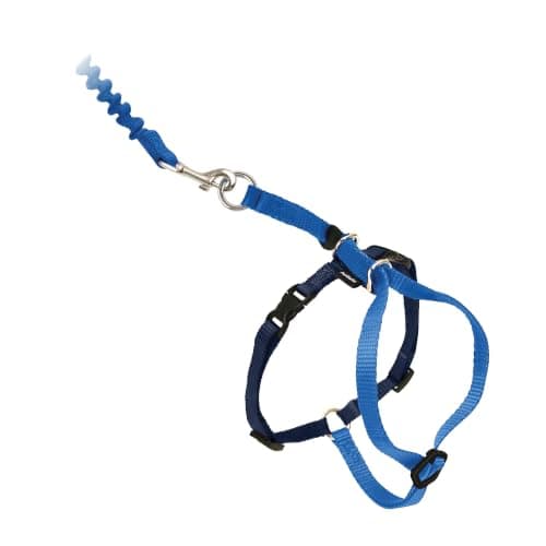 PetSafe Come With Me Kitty Harness and Bungee Leash
