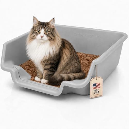 KittyGoHere Senior Cat Litter Box