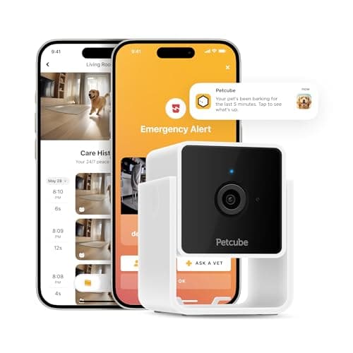 Petcube Cam