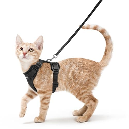 rabbitgoo Cat Harness and Leash Set