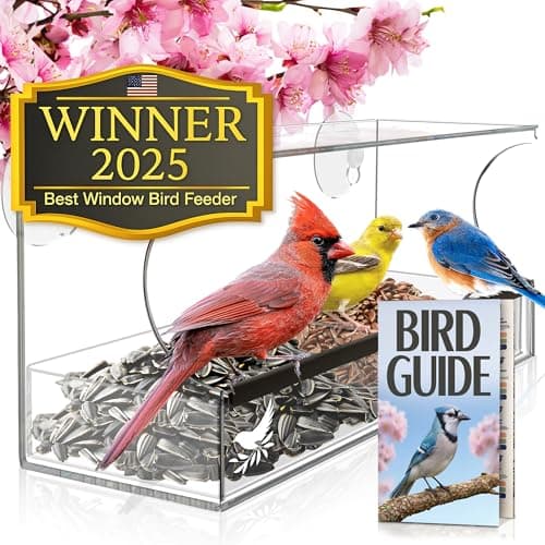 Nature's Hangout Window Bird Feeder