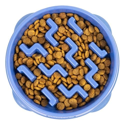 Outward Hound Fun Feeder Slo Bowl