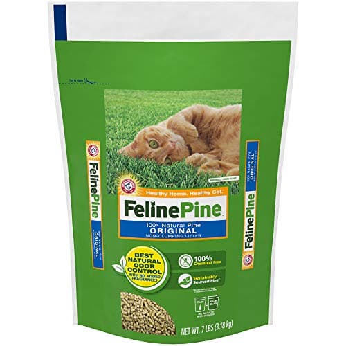 Feline Pine Original