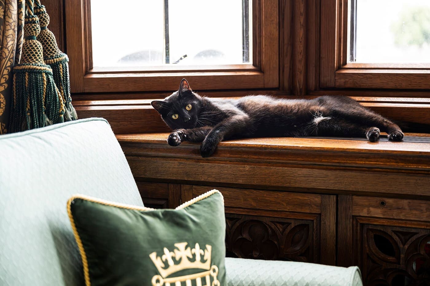 A cat lying on a windowsill