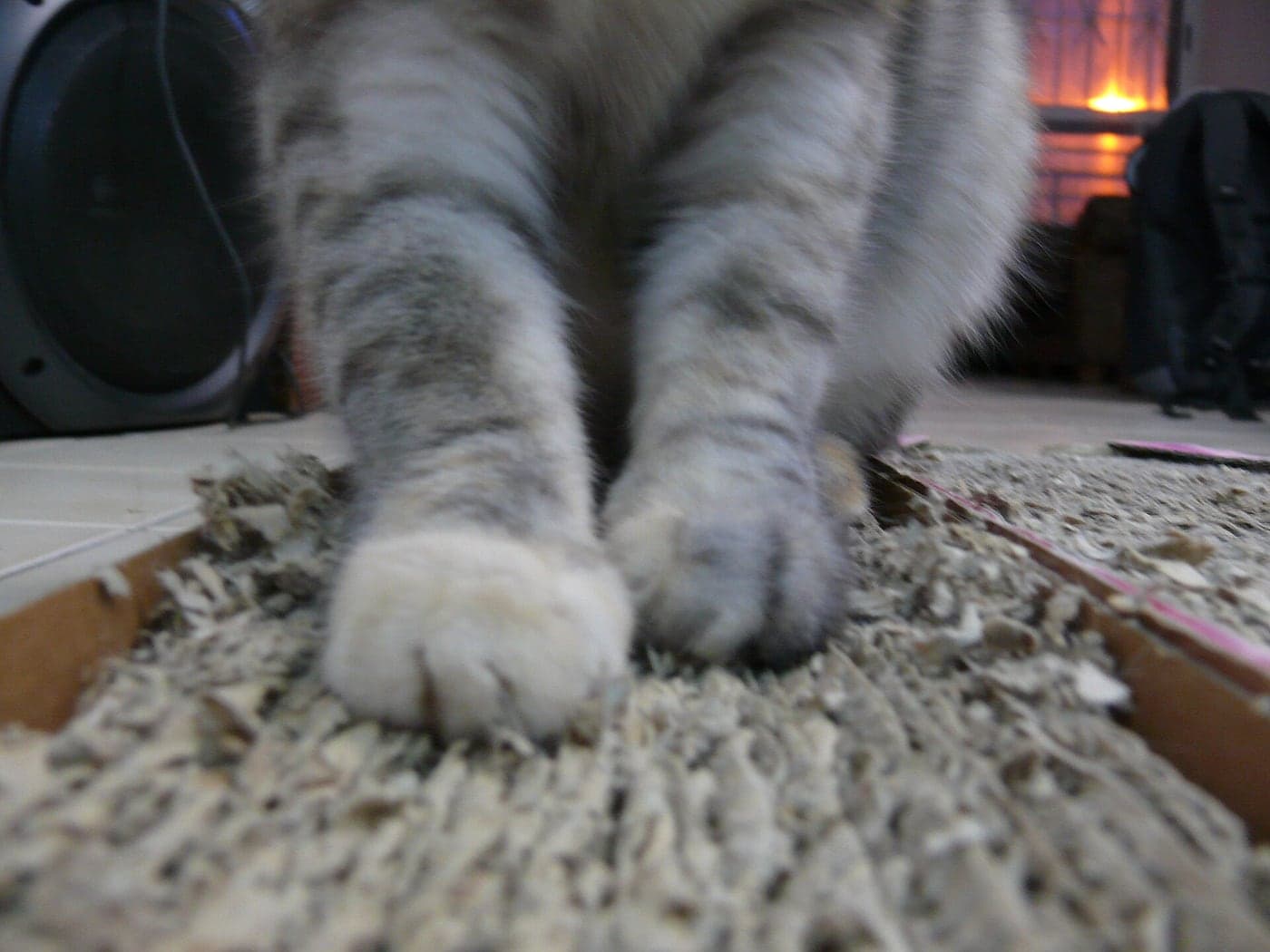 A cat lying on a corrugated cardboard scratch pad