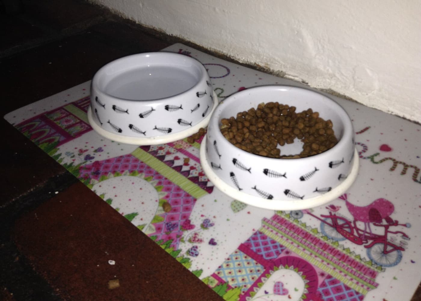 A bowl of dry cat food pellets beside a bowl of water