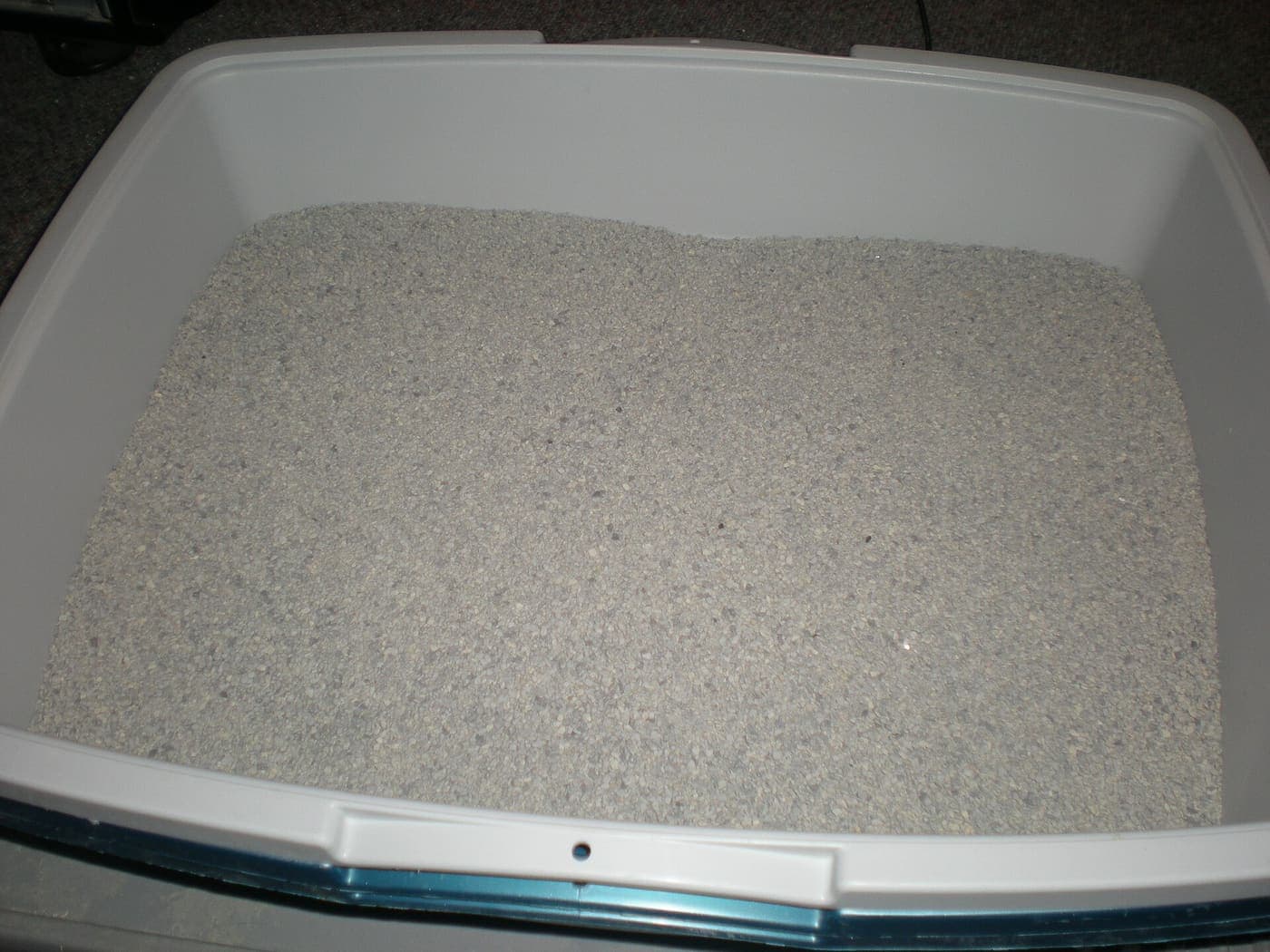 Fresh clumping cat litter in a tray