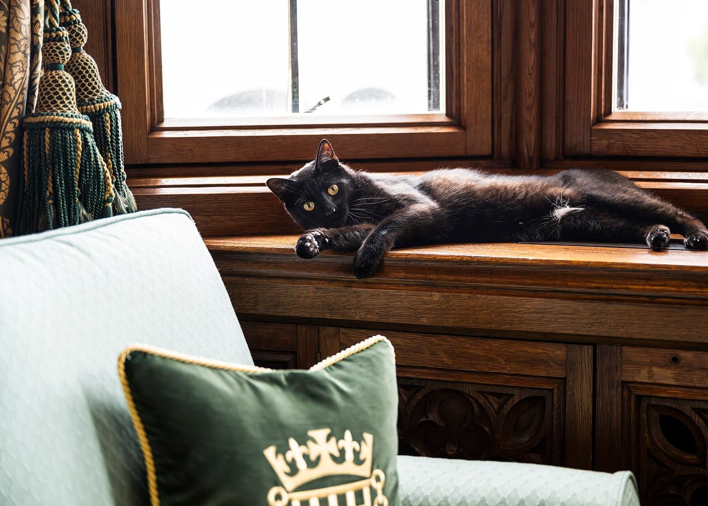A cat resting on a windowsill