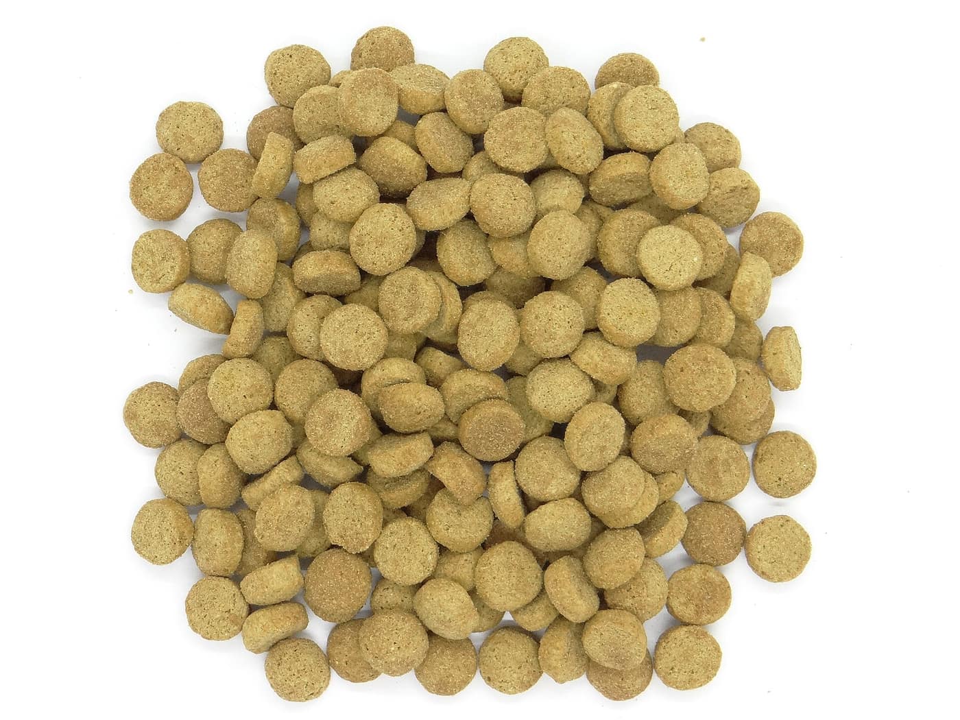 Dry cat food kibble