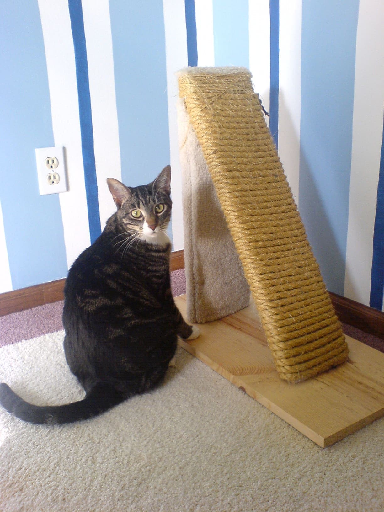 A tall homemade sisal scratching post