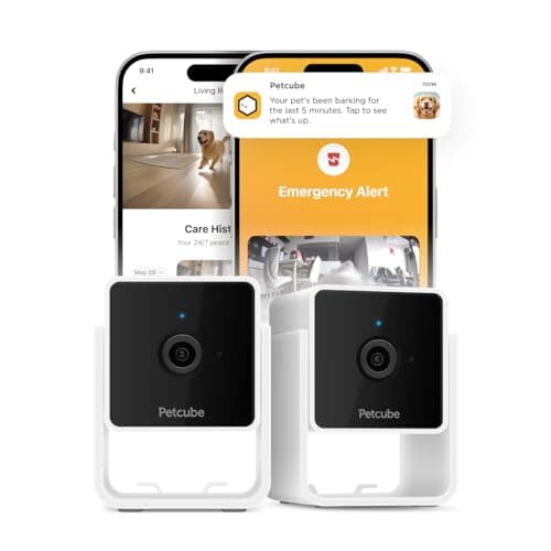 Petcube Cam