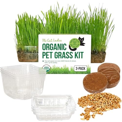 The Cat Ladies Cat Grass Growing Kit, 3-Pack