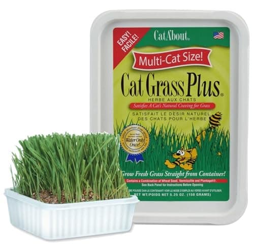 Miracle Care Cat A'bout CatGrass Kit, 5.25 oz