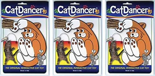 Cat Dancer 101